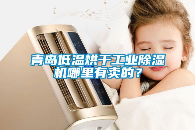 青島低溫烘干工業(yè)除濕機(jī)哪里有賣的？