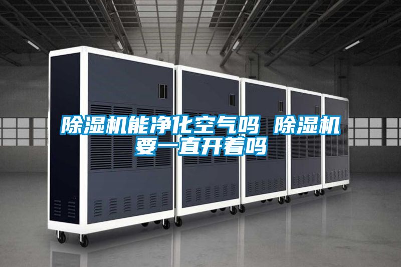 除濕機(jī)能凈化空氣嗎 除濕機(jī)要一直開著嗎