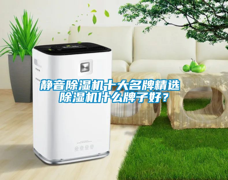 靜音除濕機(jī)十大名牌精選 除濕機(jī)什么牌子好？