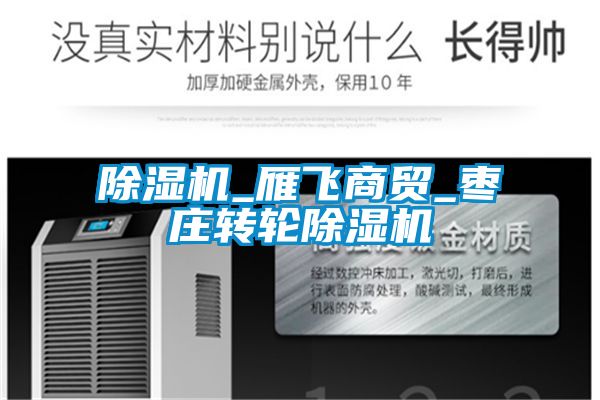 除濕機(jī)_雁飛商貿(mào)_棗莊轉(zhuǎn)輪除濕機(jī)
