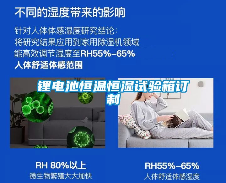 鋰電池恒溫恒濕試驗(yàn)箱訂制