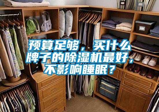 預(yù)算足夠，買什么牌子的除濕機(jī)最好，不影響睡眠？