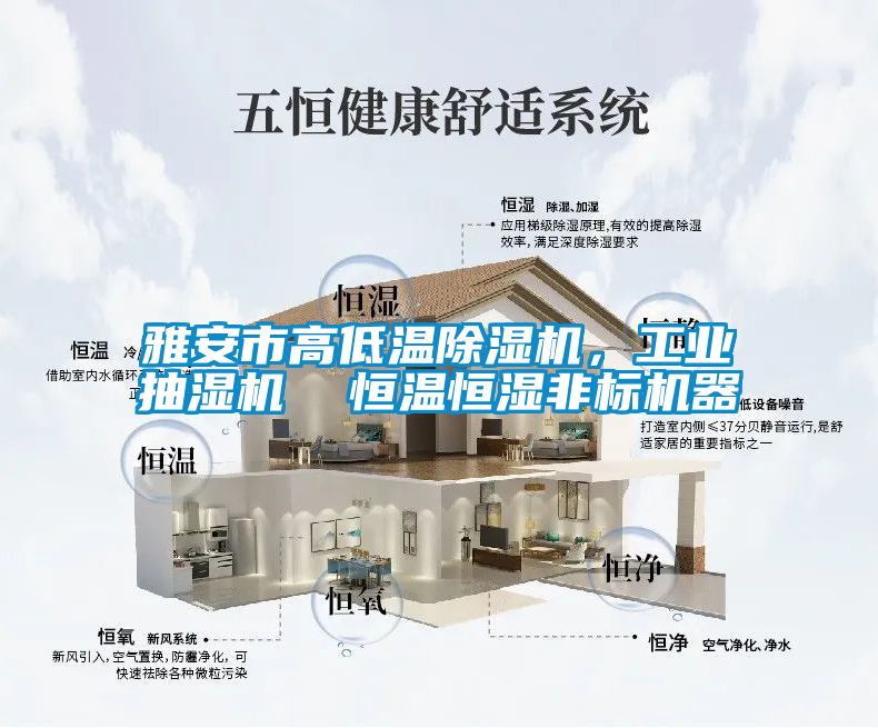 雅安市高低溫除濕機(jī)，工業(yè)抽濕機(jī)  恒溫恒濕非標(biāo)機(jī)器