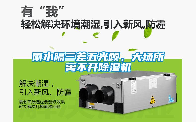 雨水隔三差五光顧，大場所離不開除濕機(jī)