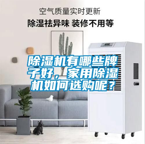除濕機有哪些牌子好，家用除濕機如何選購呢？
