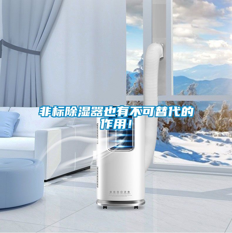 非標(biāo)除濕器也有不可替代的作用！