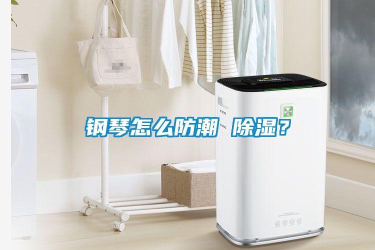 鋼琴怎么防潮 除濕？