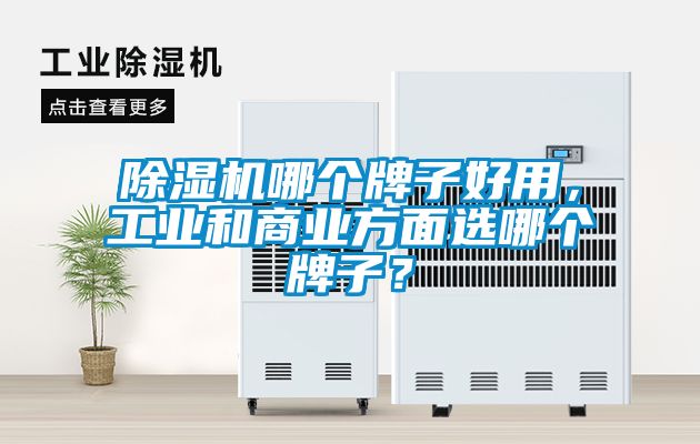 除濕機哪個牌子好用，工業(yè)和商業(yè)方面選哪個牌子？