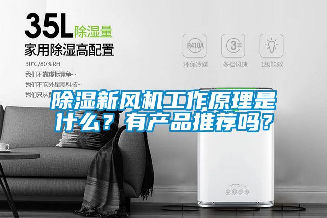 除濕新風(fēng)機(jī)工作原理是什么？有產(chǎn)品推薦嗎？
