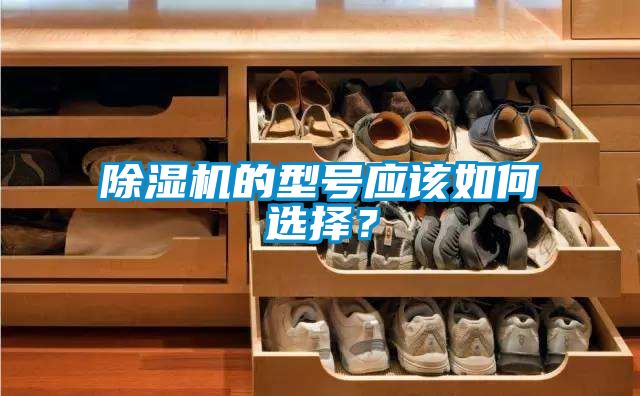 除濕機(jī)的型號應(yīng)該如何選擇？