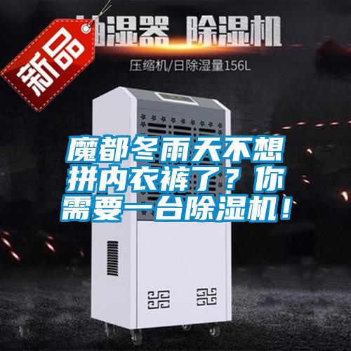 魔都冬雨天不想拼內(nèi)衣褲了？你需要一臺(tái)除濕機(jī)！