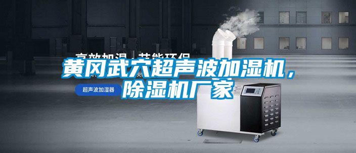 黃岡武穴超聲波加濕機，除濕機廠家