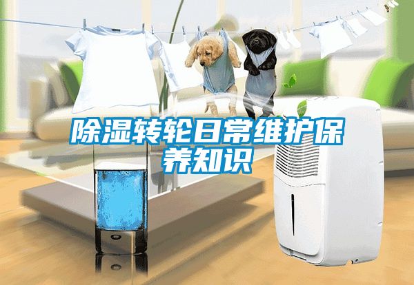 除濕轉(zhuǎn)輪日常維護(hù)保養(yǎng)知識(shí)