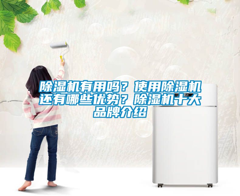 除濕機(jī)有用嗎？使用除濕機(jī)還有哪些優(yōu)勢？除濕機(jī)十大品牌介紹