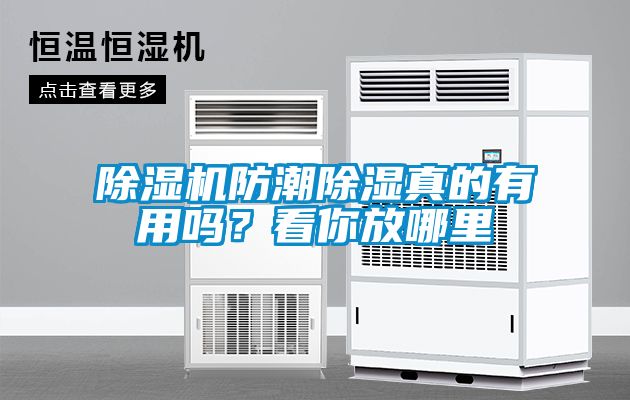除濕機防潮除濕真的有用嗎？看你放哪里