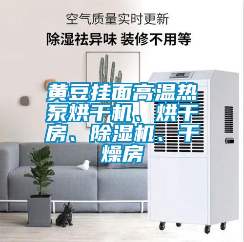 黃豆掛面高溫?zé)岜煤娓蓹C(jī)、烘干房、除濕機(jī)、干燥房