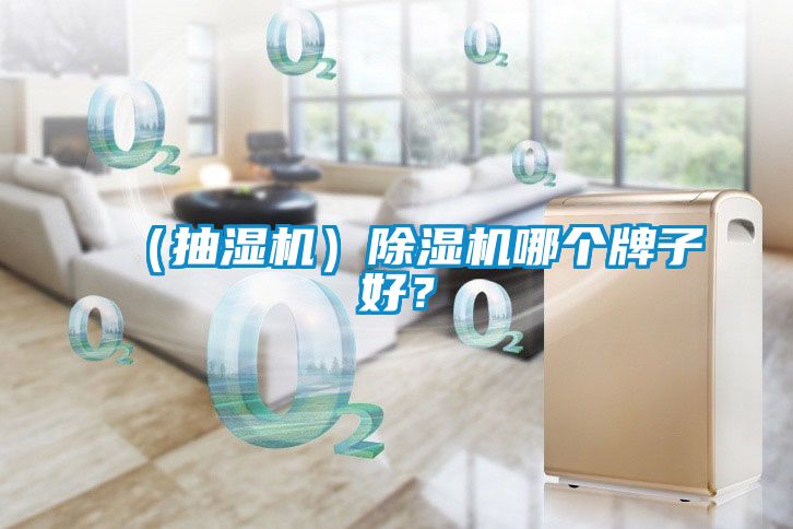 （抽濕機(jī)）除濕機(jī)哪個(gè)牌子好？