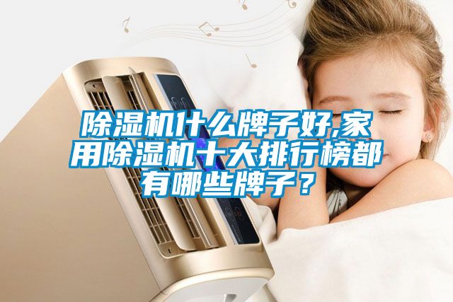 除濕機(jī)什么牌子好,家用除濕機(jī)十大排行榜都有哪些牌子？