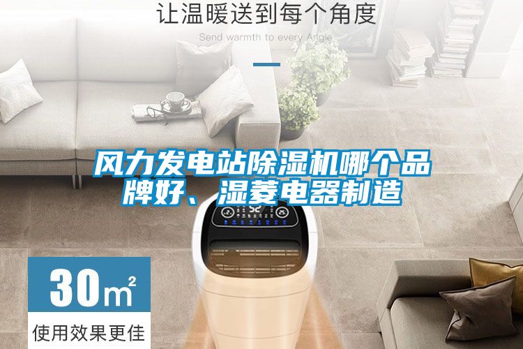 風(fēng)力發(fā)電站除濕機(jī)哪個(gè)品牌好、濕菱電器制造