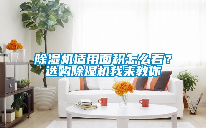除濕機適用面積怎么看？選購除濕機我來教你
