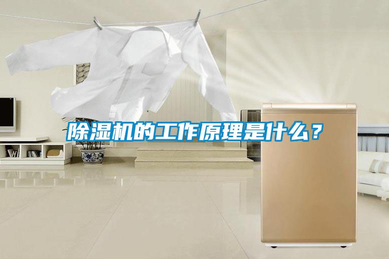 除濕機的工作原理是什么？