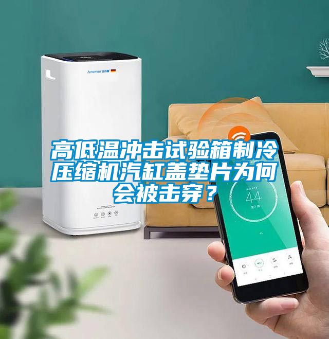 高低溫沖擊試驗箱制冷壓縮機汽缸蓋墊片為何會被擊穿？