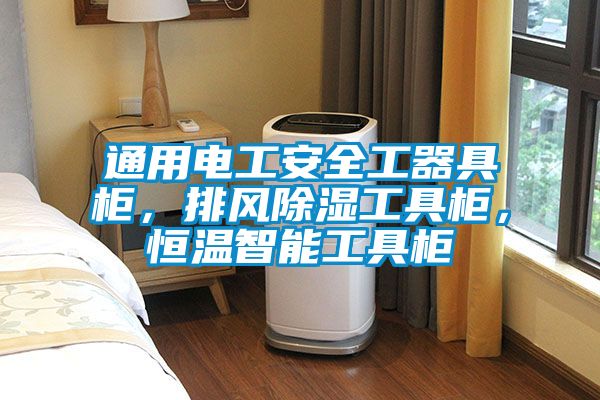 通用電工安全工器具柜，排風(fēng)除濕工具柜，恒溫智能工具柜