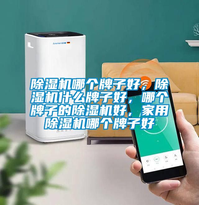 除濕機哪個牌子好，除濕機什么牌子好，哪個牌子的除濕機好，家用除濕機哪個牌子好