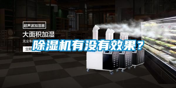 除濕機(jī)有沒有效果？