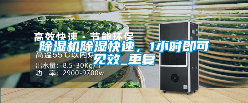 除濕機除濕快速，1小時即可見效_重復