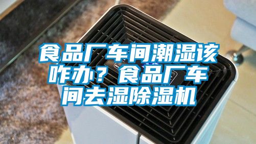 食品廠車間潮濕該咋辦？食品廠車間去濕除濕機(jī)