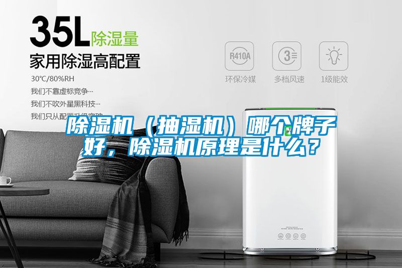 除濕機（抽濕機）哪個牌子好，除濕機原理是什么？