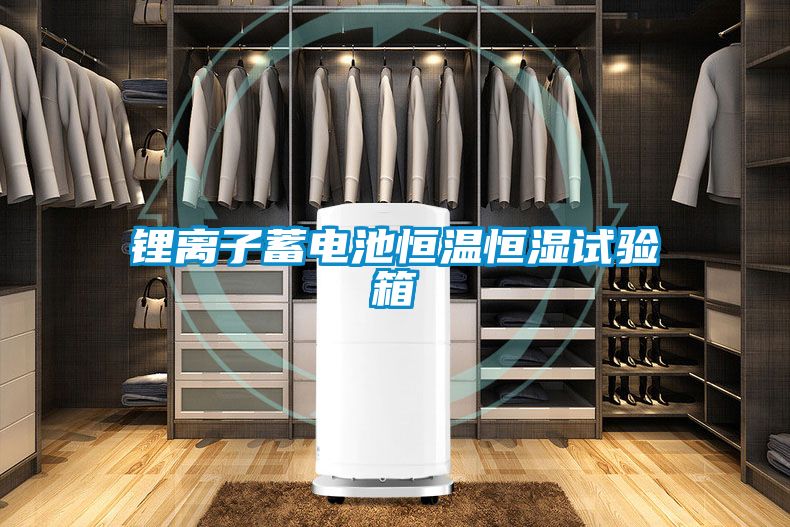 鋰離子蓄電池恒溫恒濕試驗(yàn)箱