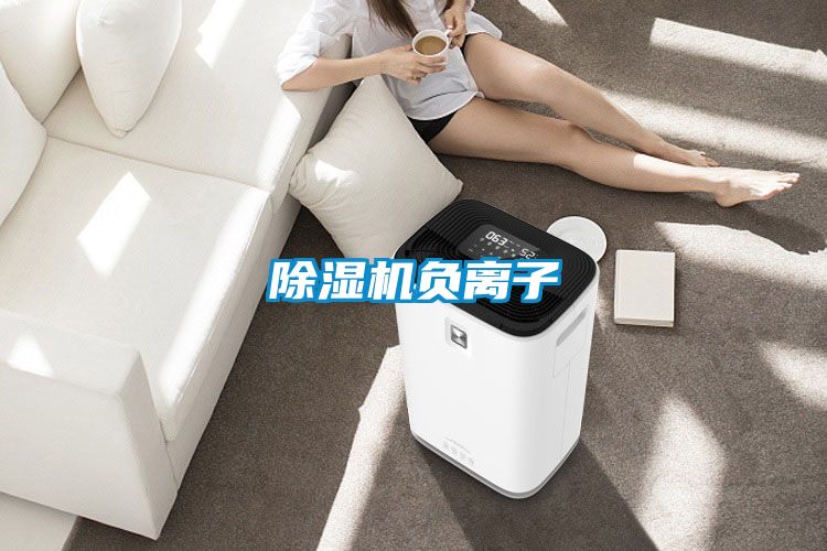除濕機(jī)負(fù)離子
