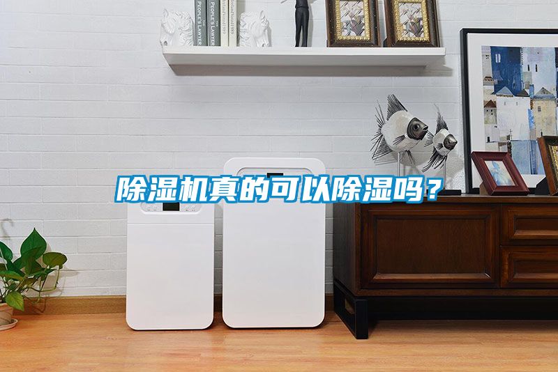 除濕機(jī)真的可以除濕嗎？