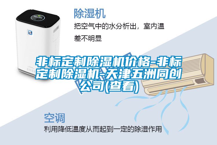 非標定制除濕機價格-非標定制除濕機-天津五洲同創(chuàng)公司(查看)