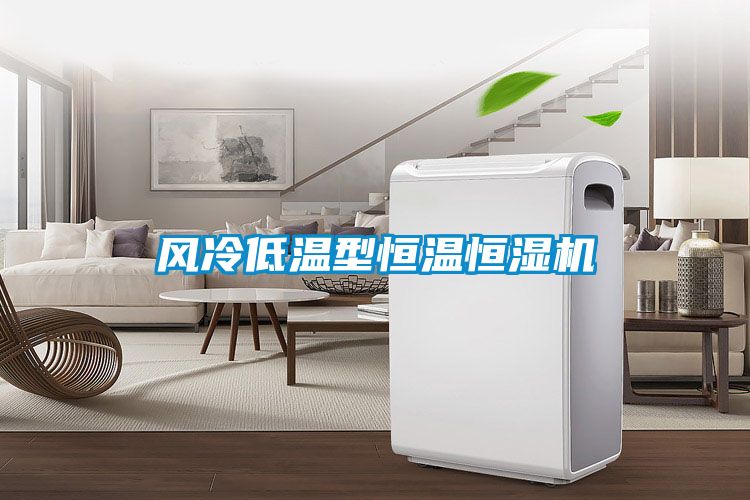 風(fēng)冷低溫型恒溫恒濕機