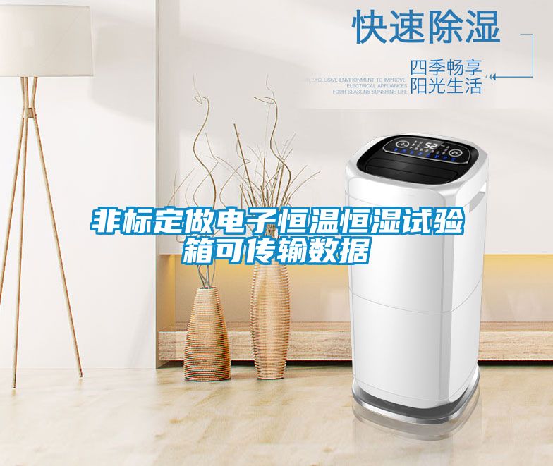 非標定做電子恒溫恒濕試驗箱可傳輸數(shù)據(jù)