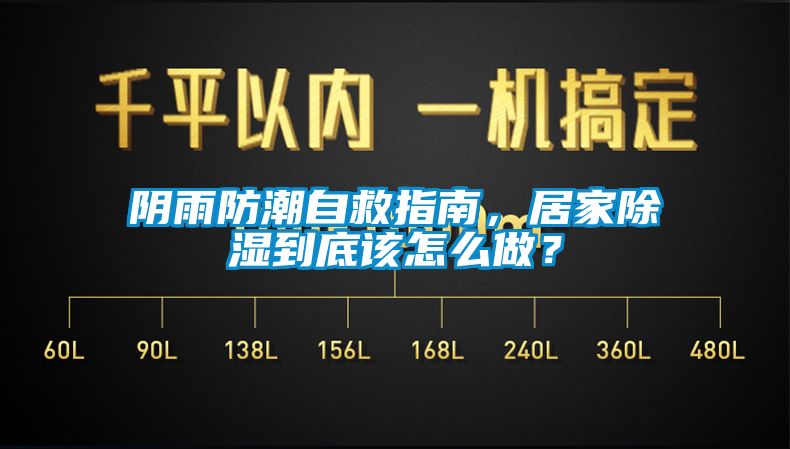 陰雨防潮自救指南，居家除濕到底該怎么做？