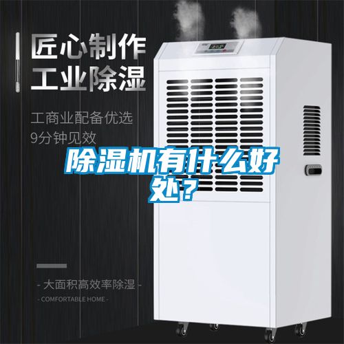 除濕機(jī)有什么好處？