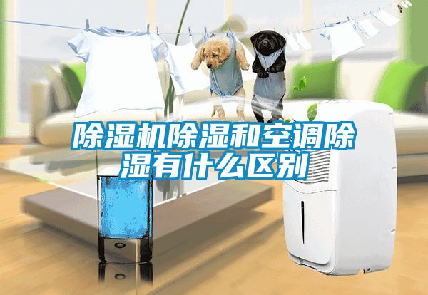 除濕機除濕和空調除濕有什么區(qū)別