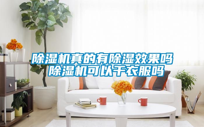 除濕機(jī)真的有除濕效果嗎 除濕機(jī)可以干衣服嗎