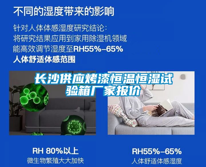 長(zhǎng)沙供應(yīng)烤漆恒溫恒濕試驗(yàn)箱廠(chǎng)家報(bào)價(jià)