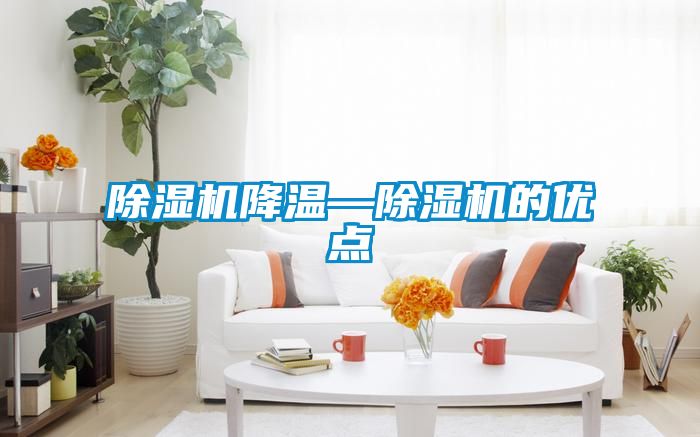 除濕機降溫—除濕機的優(yōu)點