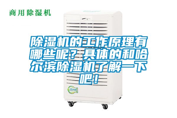 除濕機(jī)的工作原理有哪些呢？具體的和哈爾濱除濕機(jī)了解一下吧！