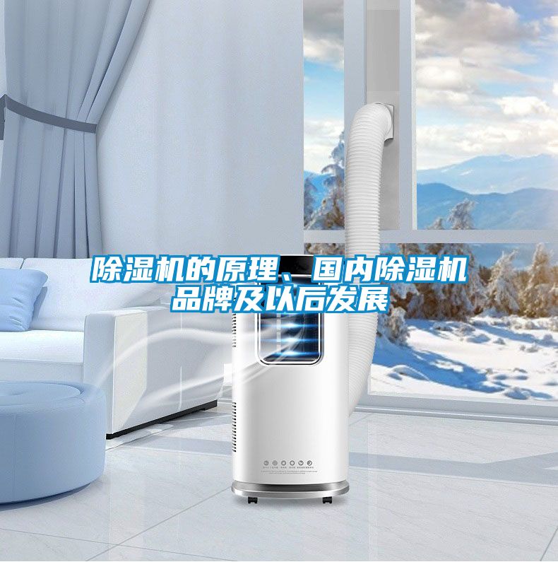 除濕機(jī)的原理、國內(nèi)除濕機(jī)品牌及以后發(fā)展