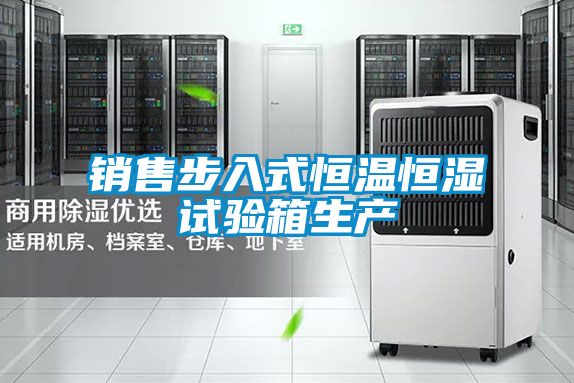 銷售步入式恒溫恒濕試驗(yàn)箱生產(chǎn)