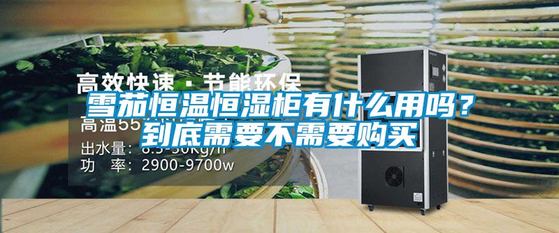 雪茄恒溫恒濕柜有什么用嗎？到底需要不需要購買