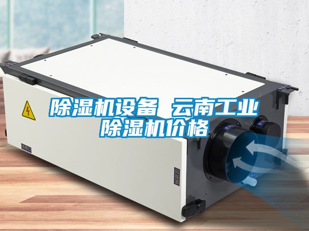 除濕機(jī)設(shè)備 云南工業(yè)除濕機(jī)價(jià)格