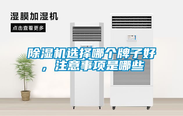 除濕機選擇哪個牌子好，注意事項是哪些